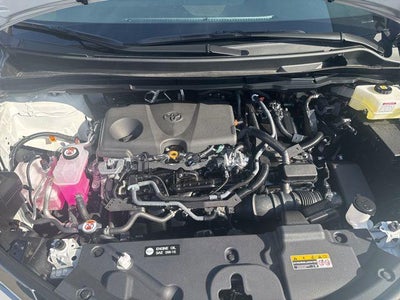 2026 Toyota SIENNA XLE XLE 8 Passenger