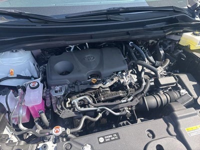 2026 Toyota SIENNA XLE XLE 8 Passenger