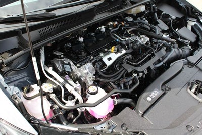 2023 Toyota Prius XLE